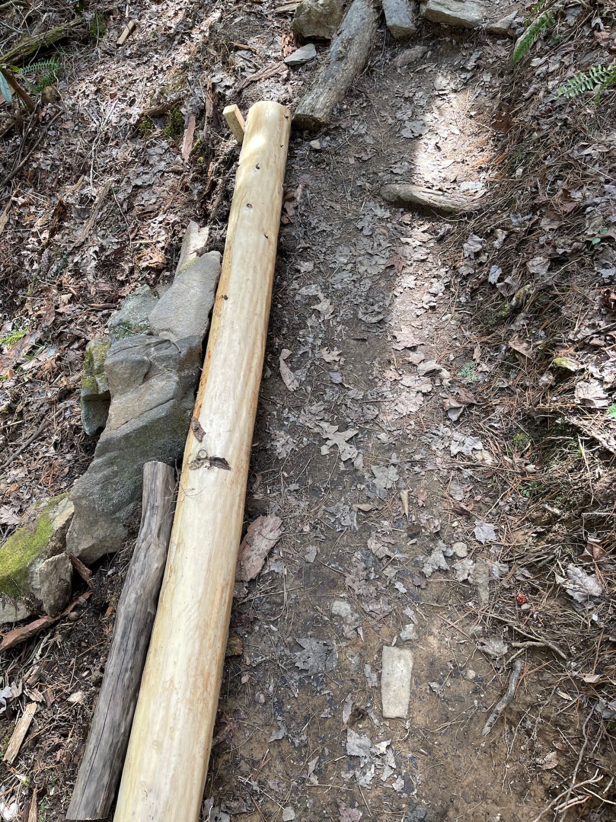 Trails 2